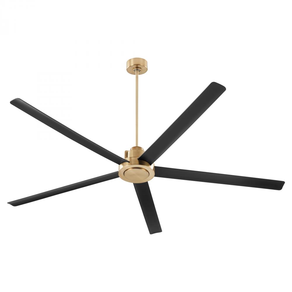 Ceiling Fans